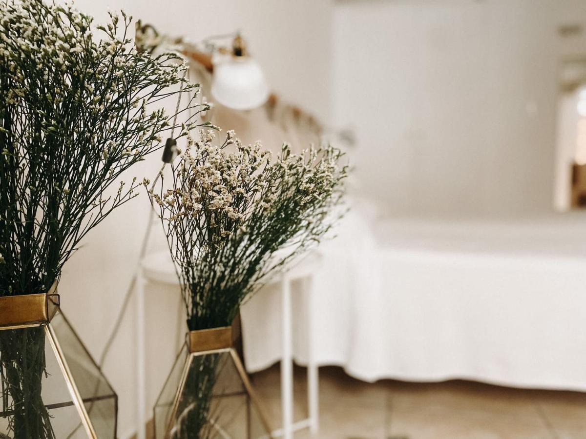 B&B Marnudd Bisceglie Bagian luar foto